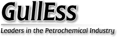 GullEssHomeme.gif (4378 bytes)